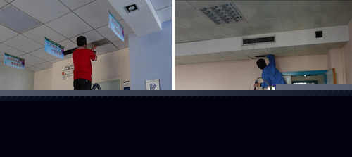 ����������{���Ɍ��I�ˆT�M���坍